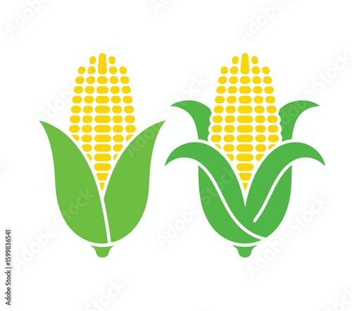 Yellow corn cobs with green husks maize food