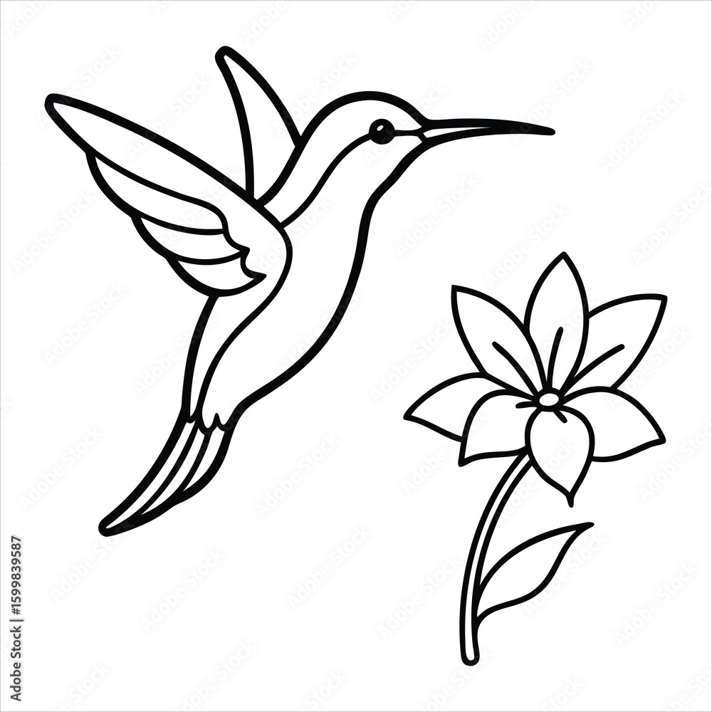 Obraz premium Hummingbird And Flower Outline for Coloring and Art Projects