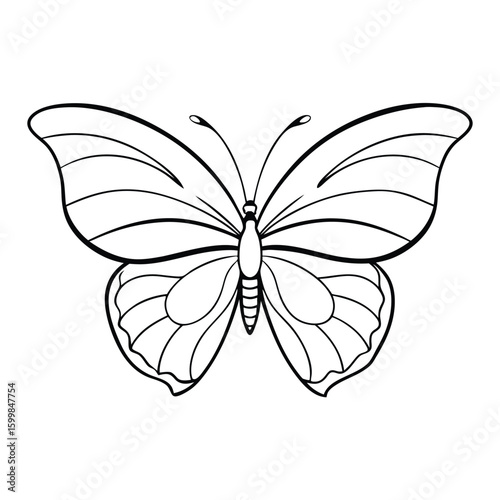butterfly on isolate background 