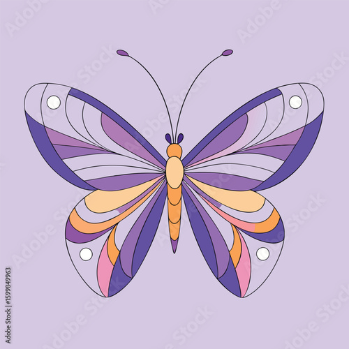 butterfly on isolate background 