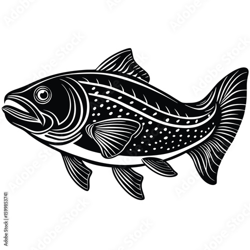samon fish on a white background
