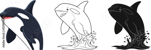 Orca whale illustration vector graphics set killer whale cartoon drawing sea animal marine life collection vector