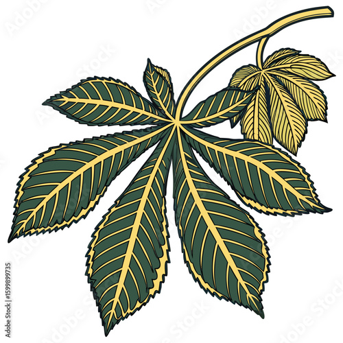 palm leaf isolated on white