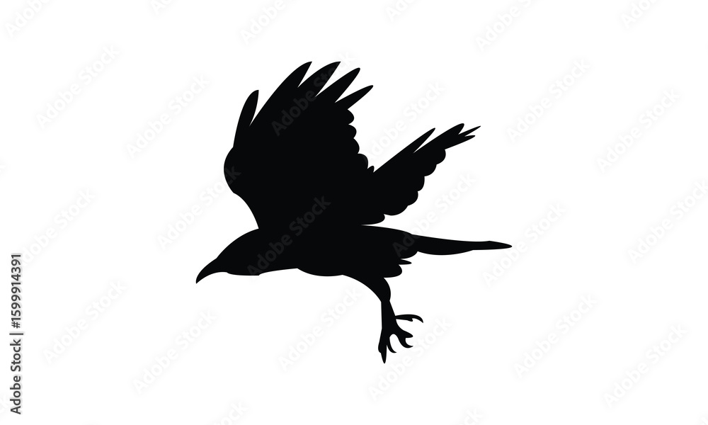 Fototapeta premium Flying American crow bird Silhouette Design And Vector Illustration. 