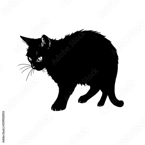 alert black cat silhouette in defensive posture on white background
