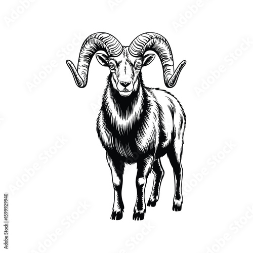 Simple Bighorn Sheep Vector Artwork  Minimalist Mountain Animal Silhouette Illustration

