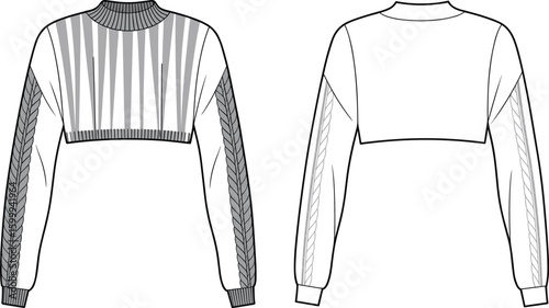 CAD drawing flat vector illustration of cropped sweater, braided sleeve texture, ribbed neckline, stylish knitwear template, fashion layout front 