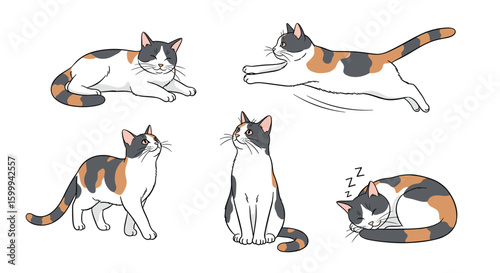 A collection of adorable calico cat illustrations showing various poses and actions such as lounging running sitting and sleeping