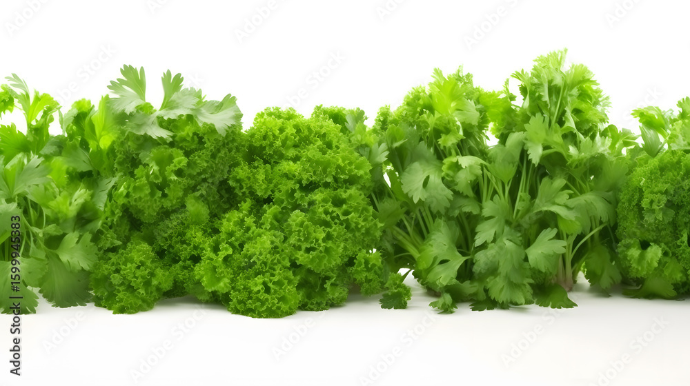 Obraz premium Veggie Delight