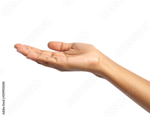 Hand palm open offering gesture skin arm fingers on transparent background