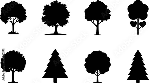 Diverse tree silhouettes including deciduous and evergreen varieties pine