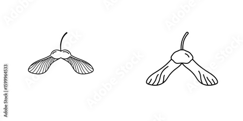 Graphic illustration of two maple seeds with wings 