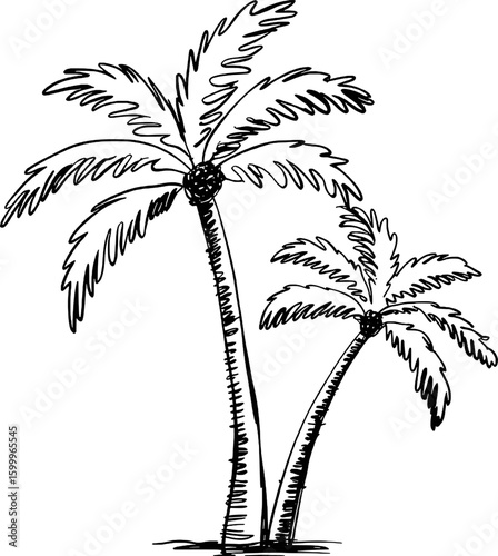 Two palm trees sketched in black ink tropical