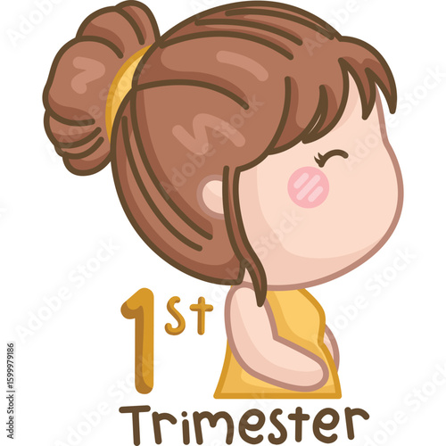 a vector of pregnant trimester