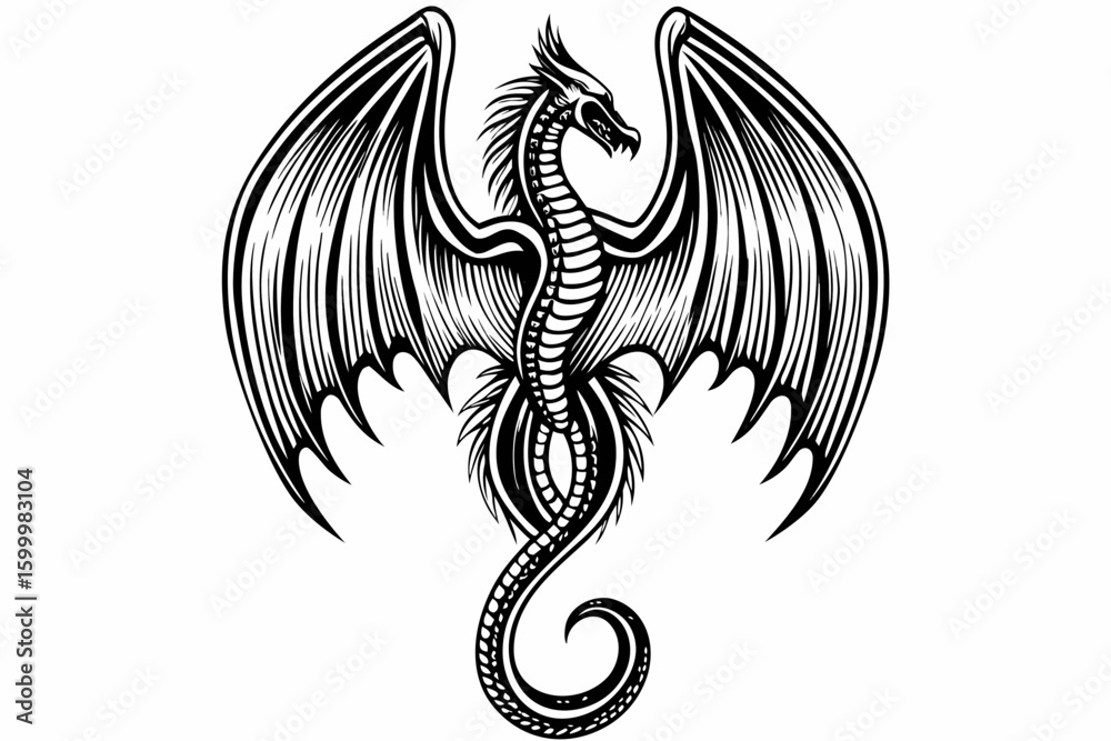 Fototapeta premium Dragon Engraving with Spread Wings