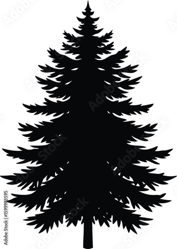 Dense fir tree silhouette isolated on transparent background