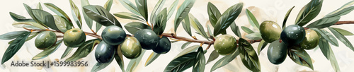 olive branch with green and black olives and detailed leaves on a light background. Generative ai vector illustration. Wide banner image