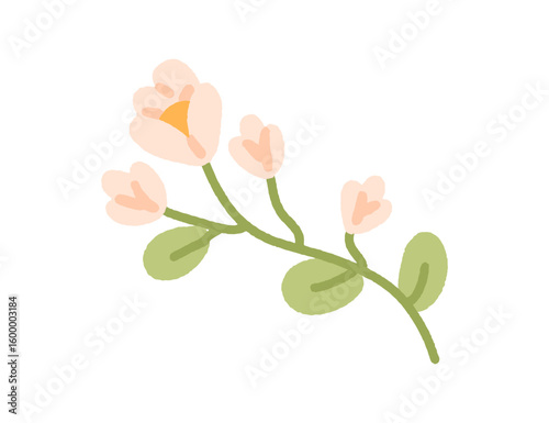 Floral branch with flower blooms. Delicate gentle spring plant twig. Summer b...