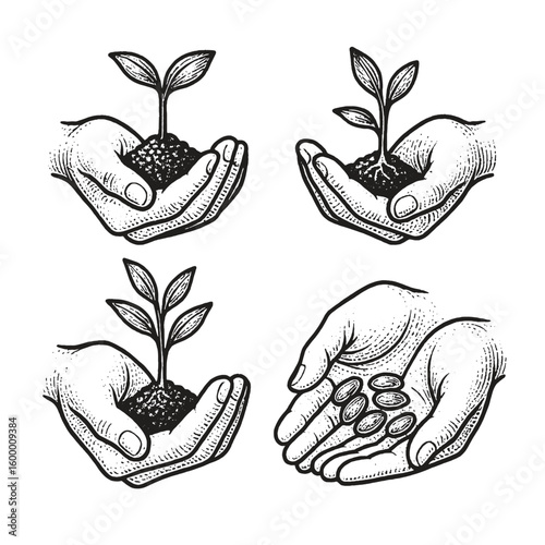 Vintage-style sketch of human hands holding soil and plant sprouts, symbolizing growth, sustainability, and care for nature.