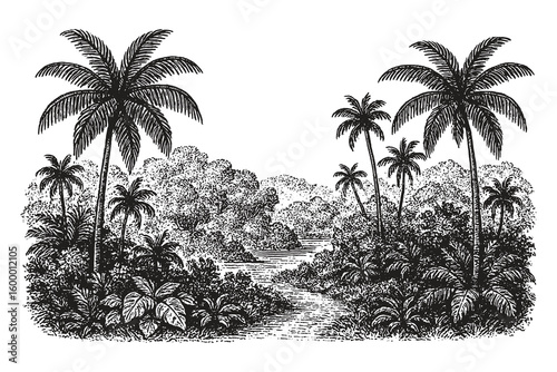 Black and white vintage drawing of a lush tropical jungle landscape with palm trees and dense vegetation in detailed sketch style.