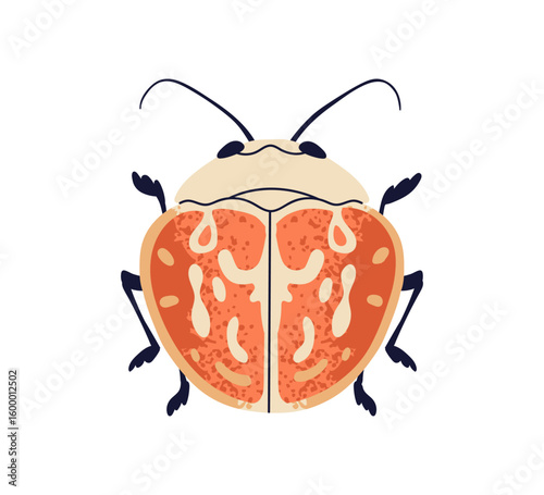 Beetle insect, top view. Bug with antennae, legs, spotted wings. Small rounde...
