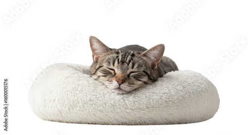 A tabby cat rests peacefully in a soft, white cushion.