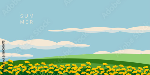 Summer background summer flowers, banner