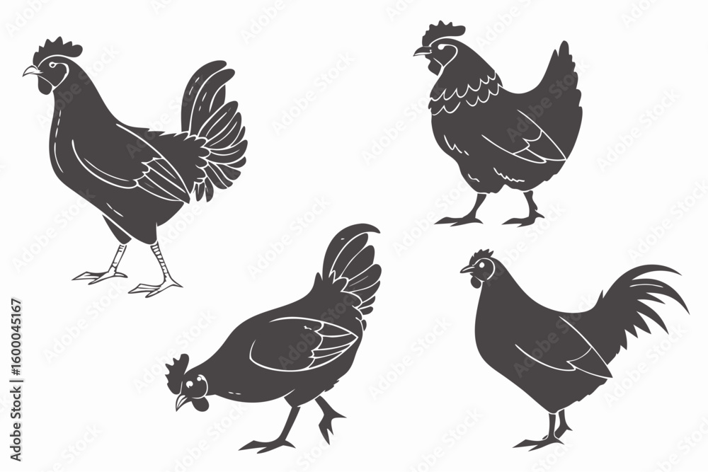 Fototapeta premium Chicken Silhouette Collection – Classic Poultry Outlines 