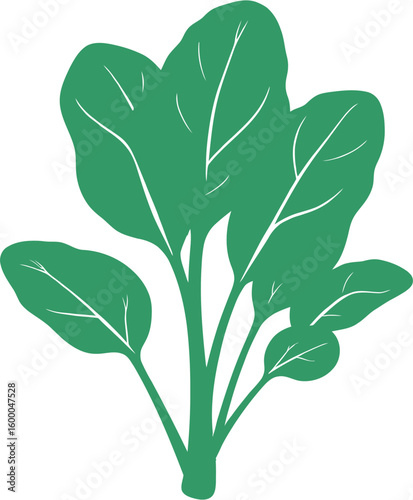  The spinach icon is simple and clean