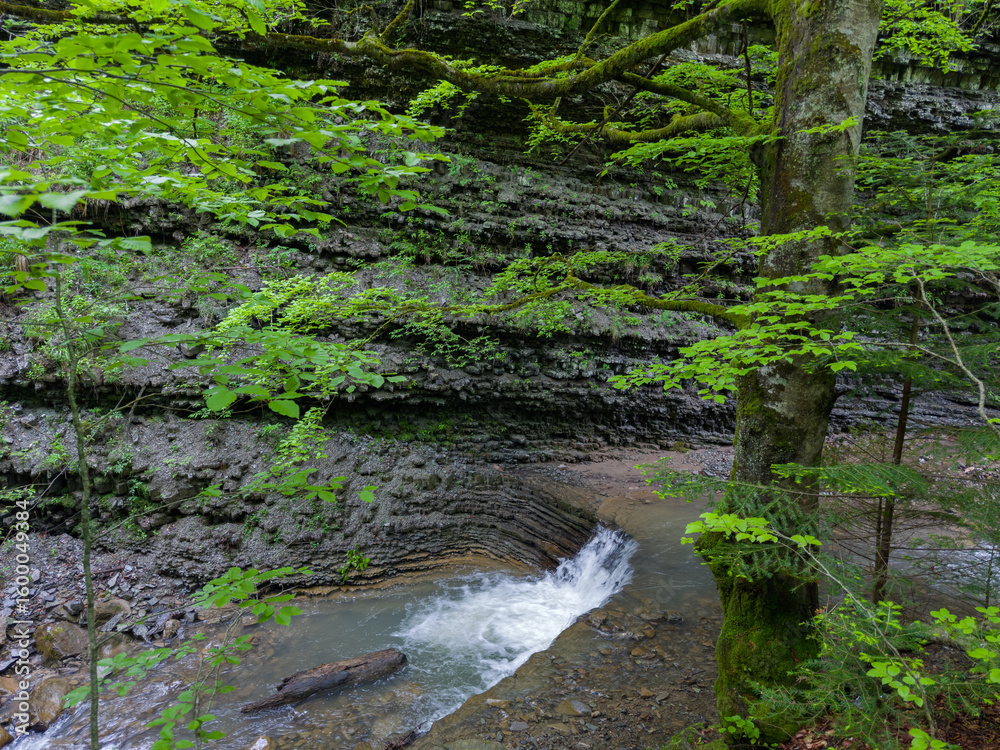 Obraz premium Mountain stream with small waterfall in riverbed with layered rocks