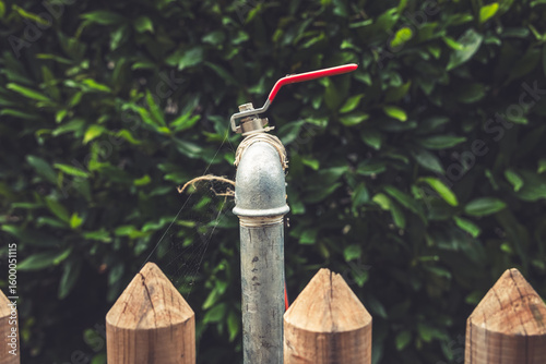 Vintage water pipe with a bright red valve stands against a lush green hedge in a tranquil backyard setting