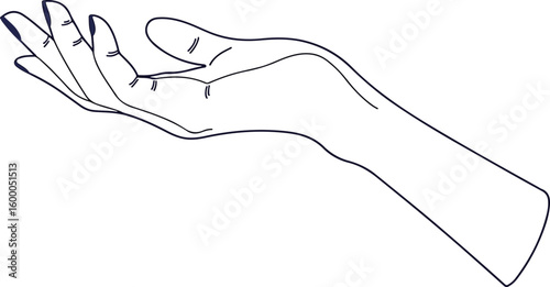 Women's hands. Female hands with various gestures. Perfect for logos, prints, patterns, posters and other designs. Vector illustration fashionable minimalistic linear style.