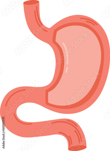 Human stomach. Healthcare medical center, surgery, hospital, clinic, diagnostic logo. Internal organ symbol poster design. Vector isolated illustration of stomach anatomy in cut.