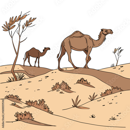 Two camels walking across a desert landscape with sparse vegetation