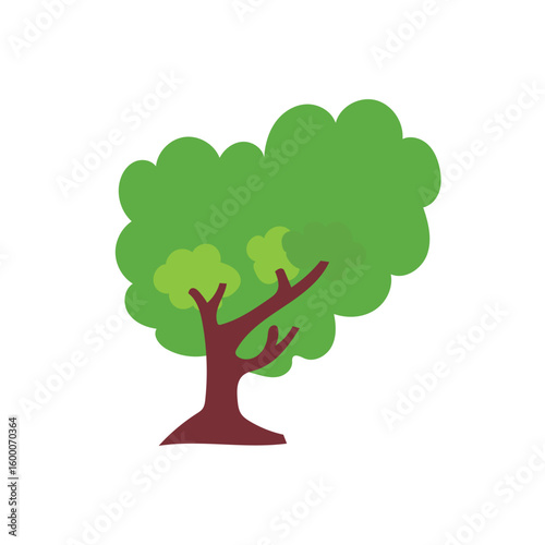 Four different types of trees are shown in a row, with the first tree being the tallest and the last tree being the shortest. 