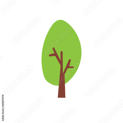 Four different types of trees are shown in a row, with the first tree being the tallest and the last tree being the shortest. 