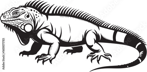 Iguana Vector Silhouette Illustration on Transparent Background Reptilian