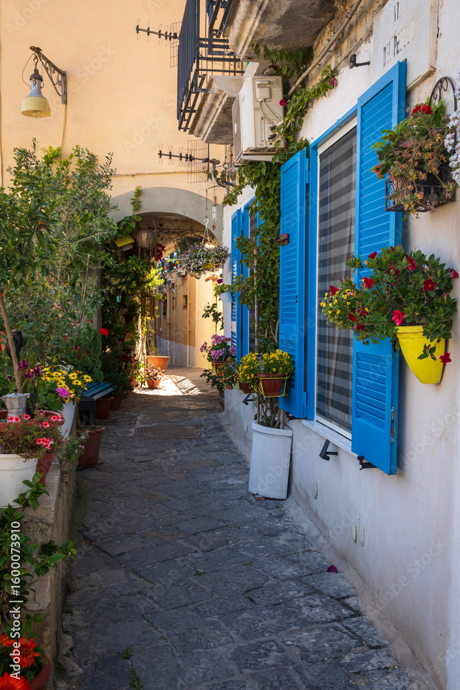 Naklejka premium Streets of Naples, Italy