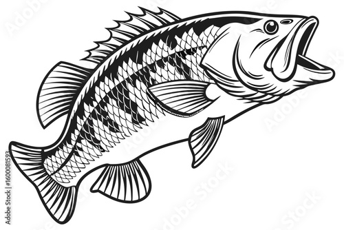 Detailed Bass Fish SVG – Clipart for Cricut and Sublimation
