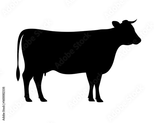 Detailed silhouette of a domestic cow standing in profile on white background