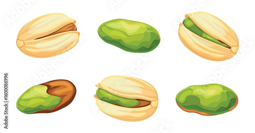 Set of delicious pistachio nuts in cartoon style. Vector illustration of beautiful different pistachios: whole, shelled, peeled isolated on white background. A healthy snack of nutritious pistachios.