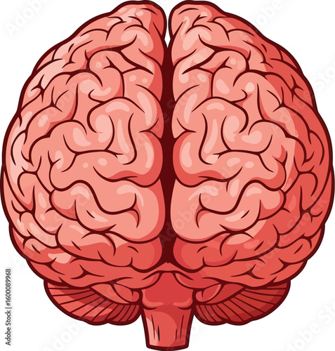 Detailed illustration of a human brain showing intricate structure and lobes with a stylized approach