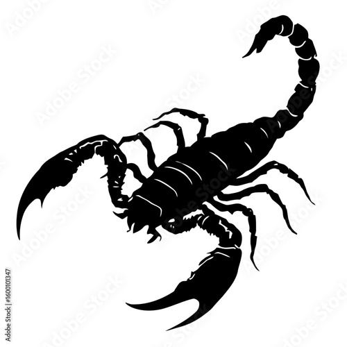 Black silhouette vector illustration of a poisonous scorpion with a raised tail and stinger, also depicting a crab, isolated on white for a dangerous animal tattoo or zodiac sign