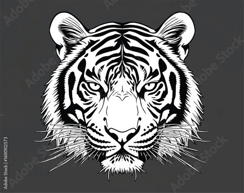 Tigger lines art carbon painting for decorate new products. wildlife, biological, draw, dangerous, natural, elegant, terrifying, arrogant, cat, animal, feline, art, beauty, fashion .