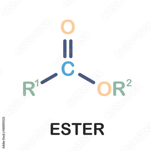 Ester functional group chemical formula