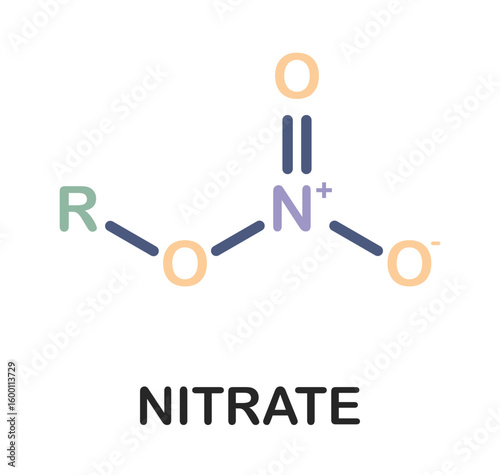 Nitrate functional group chemical structure