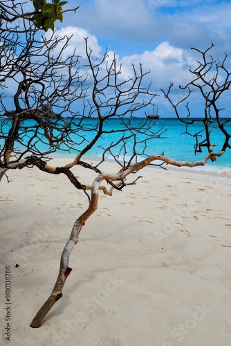 Twisted tree on sandy beach with turquoise sea and sailing ship on horizon at Similan Island, Thailand. Scenic coastal view under partly cloudy sky.