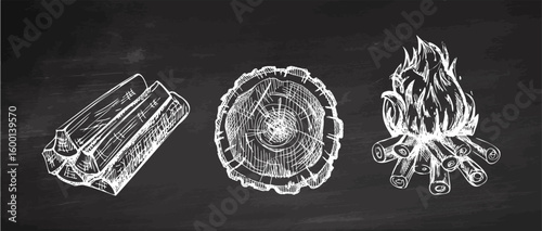 Hand drawn vintage sketch of wooden logs, tree stump and bonfire on chalkboard background, isolated vector illustration
