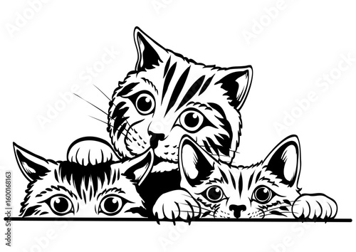 3 Cats