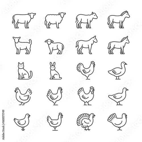 Collection of Farm Animals and Poultry Line Icons Sheep Lamb Goat Horse Donkey Mule Chicken Hen Turkey Pigeon Rabbit Cat